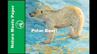 Polar Bear - 3:3 - Nature Meets Paper