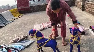 &ldquo;Chhat Par Bistar 😲 | Ghar Ki Full Safai 🧹 | purane ghar ka kaam 🏠✨&rdquo;