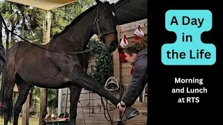 A Day in the Life at RTS | Chaos, Chores & a Vertical Camera Oops 🤦&zwj;♀️