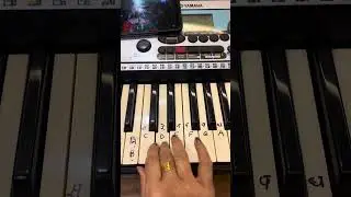 Easy and Slow tutorial JAN GAN MAN #practice#daily#with#me#practice#daily#scales#chords