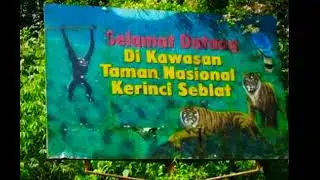 TAMAN NASIONAL KERINCI SEBLAT