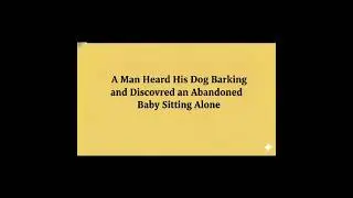 A Man Heard His Dog Barking and Discovered an Abandoned Baby Sitting Alone