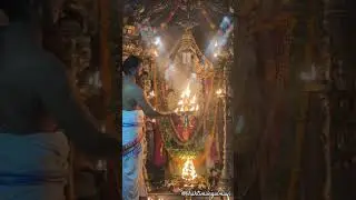 🌷🪔 Today's Aarti Darshan Shree Tirumala Tirupathi Balaji Swamy Temple🕉️🙏🌺