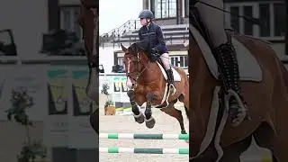 почему пропали рассказала в тг:Ze Vill👹❤️&zwj;🔥 #horses #horseriding #конкур #конныйспорт #лошади