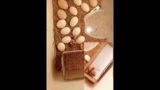 #diyincubator #egg #chicken #subscribers #followers