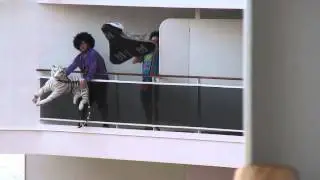 A Guy and His Tiger - A Jam Cruise Odyssey