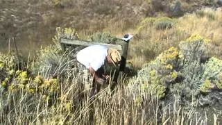 BC Geocaching Vancouver - Merritt - Kamloops - Vernon Part 1