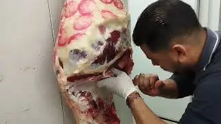 تشفيه الصدفه على الواقف وطريقه ثانيه من على الترابيزه