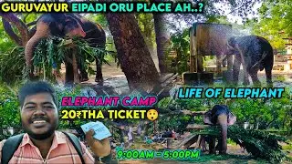 First Time Experience in Elephant Camp - Guruvayur