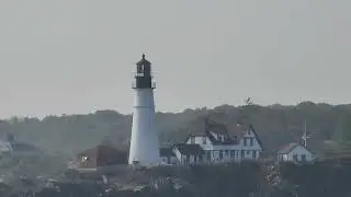 Harbor Lights and Sights Cruise