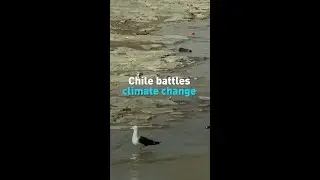 Chile battles climate change