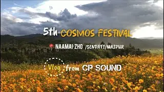5th Cosmos Festival Adventure! With CP Sound crew
