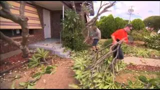 The Garden Gurus - Frangipani Demolition