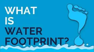 What is a Water Footprint?