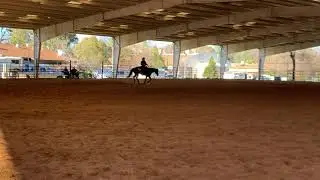 Eline @ El Dorado Country Fairgrounds