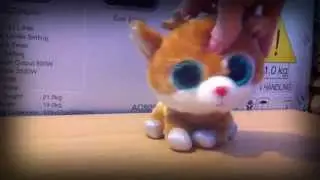 ♛ Beanie Boo Music Video - 