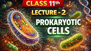 Prokaryotic Cell Explained | Cell: The Unit of Life | Lecture 2 | Class 11 Biology