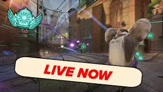 JANUARY PATCH WAITING ROOM?  | Eternus ✶ | !discord