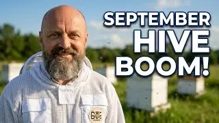 A September Visit to the Farm Apiary