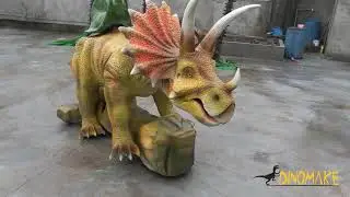 Life size: Triceratops model controlled by remote control