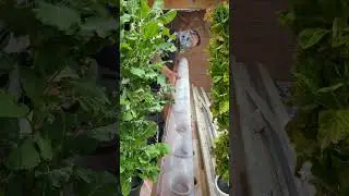 Hier siehst du, wie du deinen eigenen Pflanzturm bauen kannst. 🌱💧 