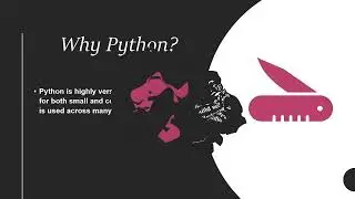 Python: The Mysterious Language