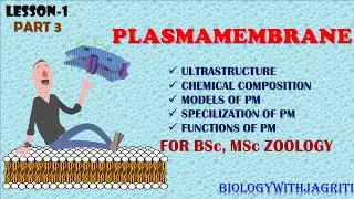 MODELS OF PLASMAMEMBRANE PART 3 BSC ZOOLOGY 3SEM |BIOLOGYWITHJAGRITI|EASY EXPLANATION ARRANGED NOTES