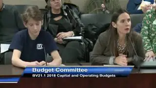 Sarah Climenhaga -  Deputation to Toronto City Council Budget Committee - Wednesday January 10, 2018