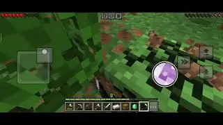 Making of a beautiful wooden 🏠 house 🏡#minecraft #gaming#videos#woddenhouse