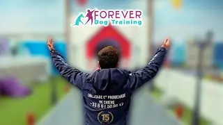 🐾 Un nouvel espace pour votre chien  - FOREVER DOG TRAINING 🐶