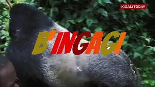 Kwita Izina_ King Xavier (Official Lyrics Video)