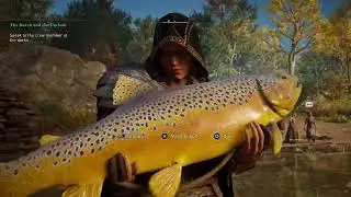 Assassin's Creed Valhalla - Platinum Trophy Cleanup