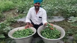 இன்றைய நாள் எங்கள் விவசாயம் வெற்றியை கொடுத்துள்ளது