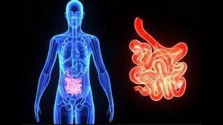 LAMP TCM & ACUPUNCTURE 34: Horary Points, Basic Treatment Principles, Small Intestine Functions