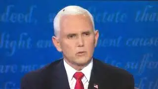 House fly lands on VP Pence&rsquo;s head during debate