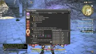 Final Fantasy 14 XIV Expanded Crossbar Controls Set Up Guide 8 - 16 extra actions!!