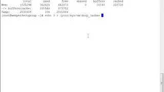 Clear Memory Linux