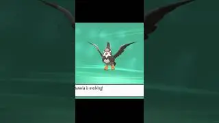 Staravia Evolution