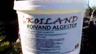 Koivand Algestop Kovand Algaestop