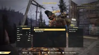 Fallout 76 - She Has A Point