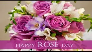 Happy Rose day 2016 - Beautiful & Latest Wishes/Greetings/Whatsapp Video/E-card/Full HD Video 5