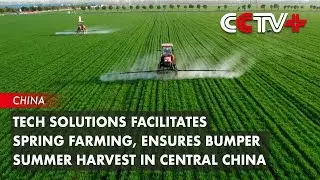 Tech Solutions Facilitates Spring Farming, Ensures Bumper Summer Harvest in Central China