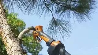 Solu&ccedil;&atilde;o Completa de Jardim: Corte Ramos Grossos e Finos sem Esfor&ccedil;o