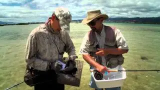 HGF303 The Secret Life of Bonefish