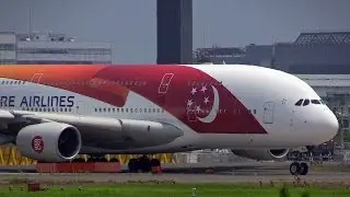 ど派手な超巨大旅客機日本に初飛来!!! SG50 Livery Singapore Airlines A380 成田空港離陸