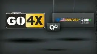 GO4X | What is a pip?