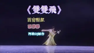 闽南经典歌曲！《双双飞》(Recommended Chinese Popular DJ  Music Remix)#djremix