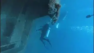 Sertifikasi Open Water Diver di Pulau Pramuka