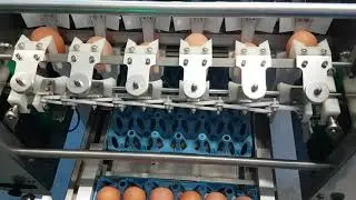 Emballeuse oeufs
