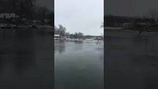 Domestic geese flying up river (read description for update)